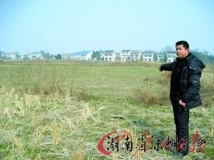 极端天气致河南湖南等地粮食减产 粮价加速上涨