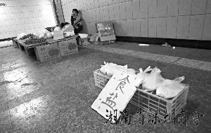 抢购碘盐没必要(组图)