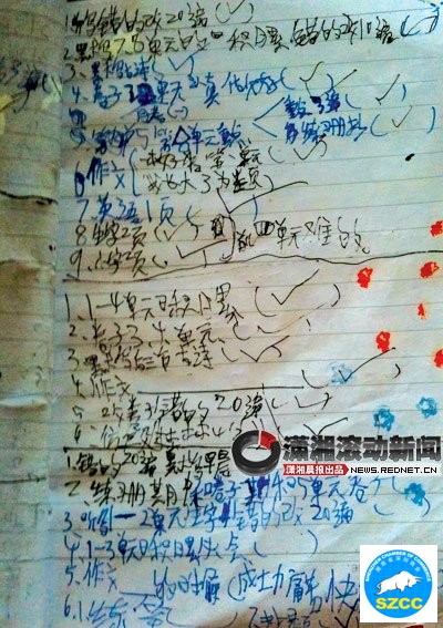 小阳有一个专门用来记录作业的笔记本,根据记录,他的最后一次作业有七项。图/潇湘晨报滚动新闻记者 周清树