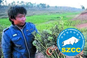 云南连续三年遭遇干旱部分水库干枯 云南连续三年遭遇干旱部分水库干枯